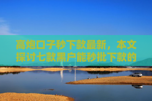 高炮口子秒下款最新，本文探讨七款黑户能秒批下款的网贷