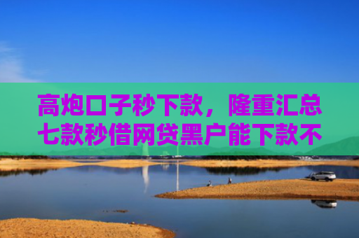 高炮口子秒下款，隆重汇总七款秒借网贷黑户能下款不