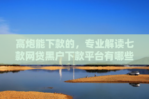 高炮能下款的，专业解读七款网贷黑户下款平台有哪些