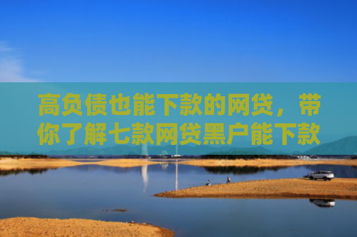 高负债也能下款的网贷，带你了解七款网贷黑户能下款吗吗