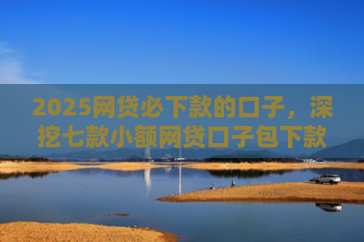 2025网贷必下款的口子，深挖七款小额网贷口子包下款吗