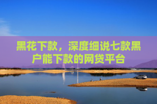 黑花下款，深度细说七款黑户能下款的网贷平台