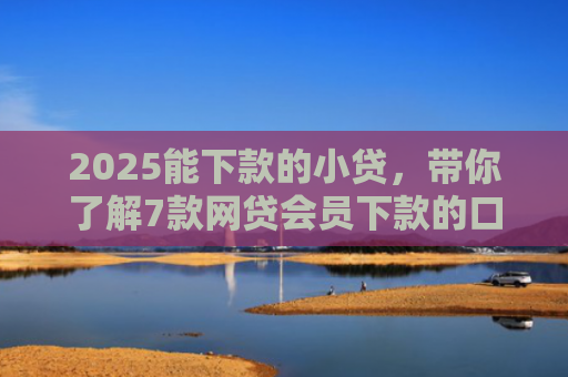 2025能下款的小贷，带你了解7款网贷会员下款的口子