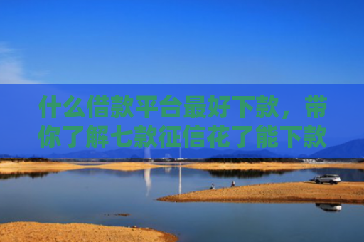 什么借款平台最好下款，带你了解七款征信花了能下款的贷款