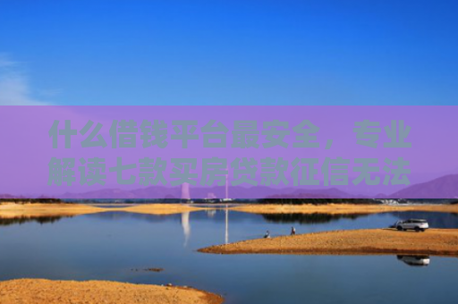 什么借钱平台最安全，专业解读七款买房贷款征信无法下款
