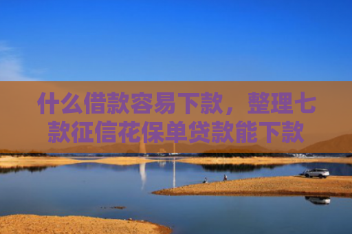 什么借款容易下款，整理七款征信花保单贷款能下款