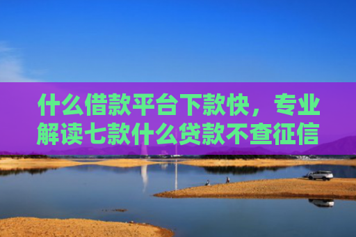 什么借款平台下款快，专业解读七款什么贷款不查征信秒下款