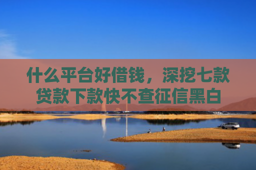 什么平台好借钱，深挖七款贷款下款快不查征信黑白