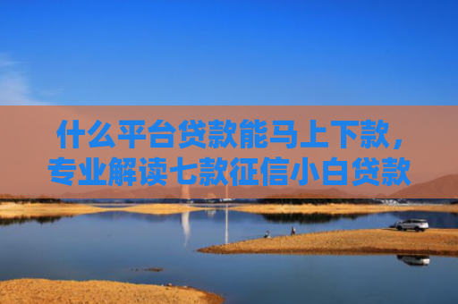 什么平台贷款能马上下款，专业解读七款征信小白贷款容易下款吗