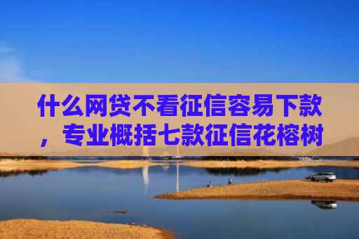 什么网贷不看征信容易下款，专业概括七款征信花榕树贷款能下款吗