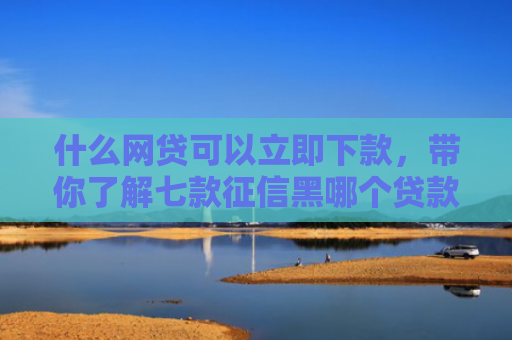 什么网贷可以立即下款，带你了解七款征信黑哪个贷款好下款