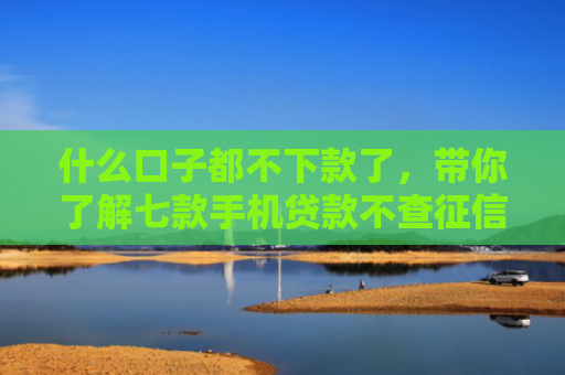 什么口子都不下款了，带你了解七款手机贷款不查征信秒下款