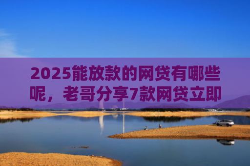 2025能放款的网贷有哪些呢，老哥分享7款网贷立即下款的口子