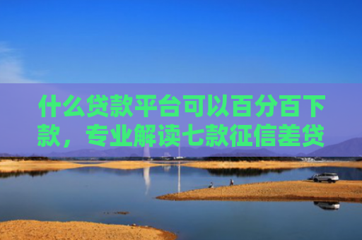 什么贷款平台可以百分百下款，专业解读七款征信差贷款平台能下款吗