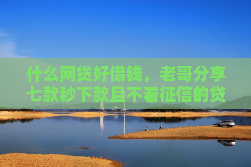什么网贷好借钱，老哥分享七款秒下款且不看征信的贷款