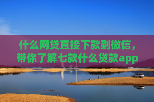 什么网贷直接下款到微信，带你了解七款什么贷款app 不看征信 下款快