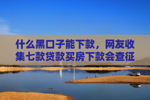 什么黑口子能下款，网友收集七款贷款买房下款会查征信