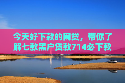 今天好下款的网贷，带你了解七款黑户贷款714必下款