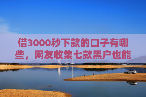 借3000秒下款的口子有哪些，网友收集七款黑户也能秒下款的网贷