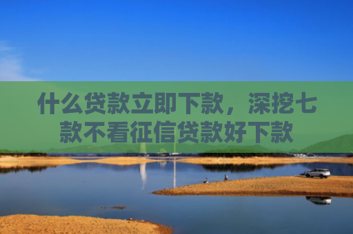 什么贷款立即下款，深挖七款不看征信贷款好下款