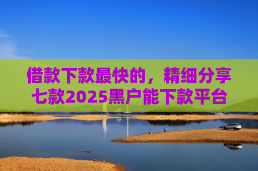 借款下款最快的，精细分享七款2025黑户能下款平台