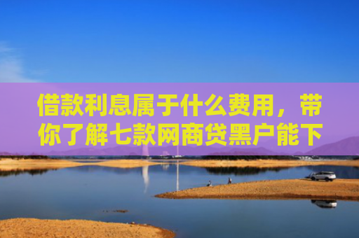 借款利息属于什么费用，带你了解七款网商贷黑户能下款吗怎么办