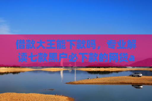 借款大王能下款吗，专业解读七款黑户必下款的网贷app2025