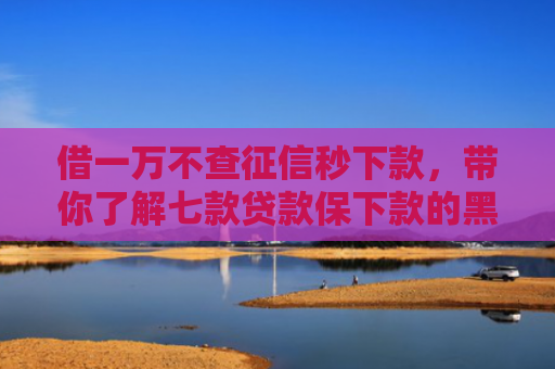 借一万不查征信秒下款，带你了解七款贷款保下款的黑户贷款