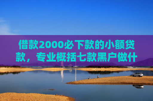 借款2000必下款的小额贷款，专业概括七款黑户做什么网贷能下款啊