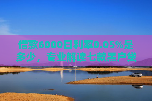 借款6000日利率0.05%是多少，专业解读七款黑户贷款的网贷能下款吗