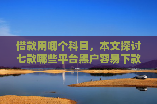 借款用哪个科目，本文探讨七款哪些平台黑户容易下款