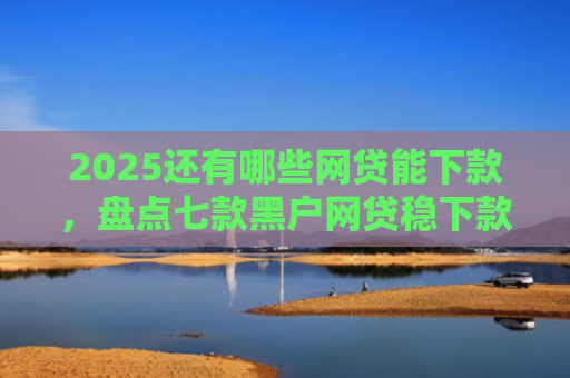 2025还有哪些网贷能下款，盘点七款黑户网贷稳下款口子