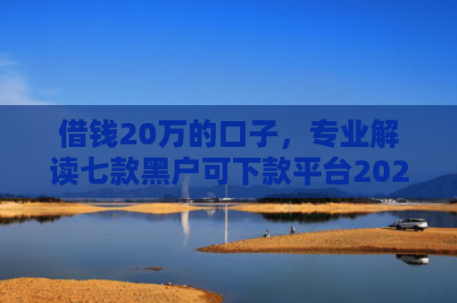 借钱20万的口子，专业解读七款黑户可下款平台2025