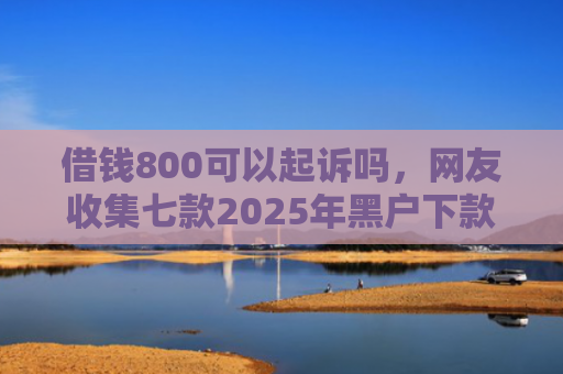 借钱800可以起诉吗，网友收集七款2025年黑户下款平台