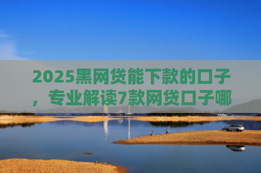 2025黑网贷能下款的口子，专业解读7款网贷口子哪些好下款