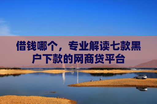 借钱哪个，专业解读七款黑户下款的网商贷平台