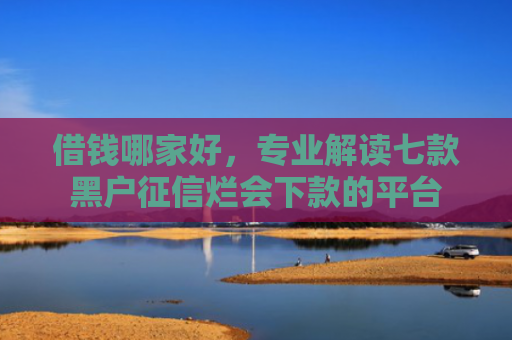 借钱哪家好，专业解读七款黑户征信烂会下款的平台
