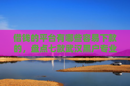 借钱的平台有哪些容易下款的，盘点七款武汉黑户专业下款的平台