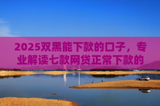 2025双黑能下款的口子，专业解读七款网贷正常下款的老口子