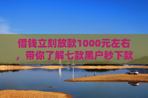 借钱立刻放款1000元左右，带你了解七款黑户秒下款的网贷平台
