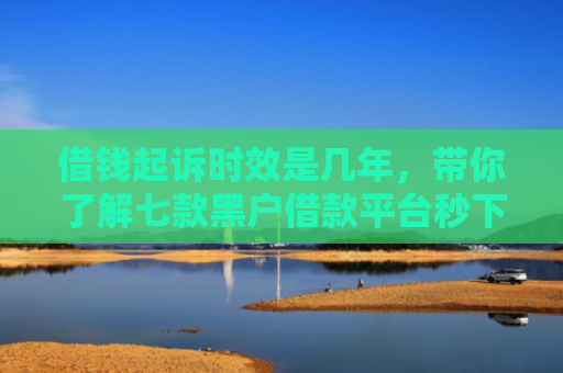 借钱起诉时效是几年，带你了解七款黑户借款平台秒下款正规吗安全吗