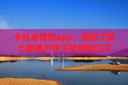 卡拉米借款app，带你了解七款黑户秒下款贷款口子