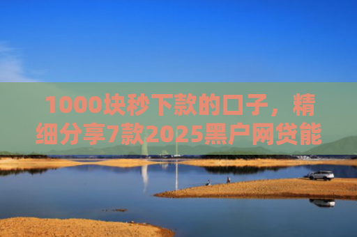 1000块秒下款的口子，精细分享7款2025黑户网贷能下款的口子