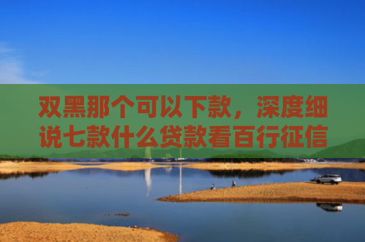 双黑那个可以下款，深度细说七款什么贷款看百行征信好下款