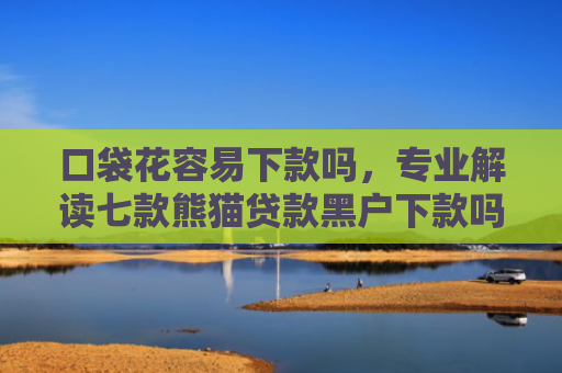 口袋花容易下款吗，专业解读七款熊猫贷款黑户下款吗