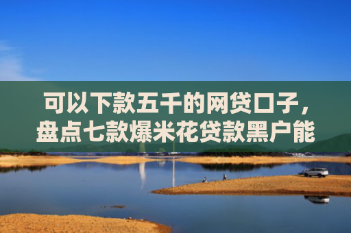 可以下款五千的网贷口子，盘点七款爆米花贷款黑户能下款吗