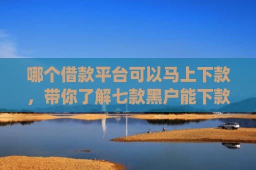 哪个借款平台可以马上下款，带你了解七款黑户能下款的小额贷款app