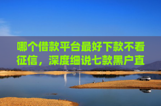 哪个借款平台最好下款不看征信，深度细说七款黑户直接下款的app有哪些