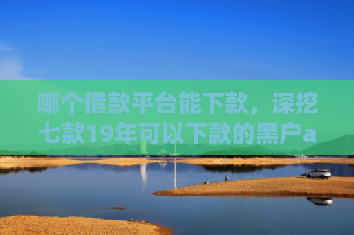 哪个借款平台能下款，深挖七款19年可以下款的黑户app