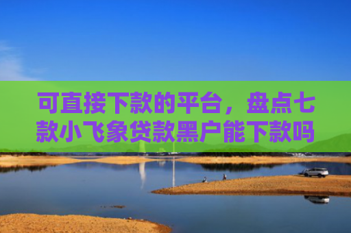 可直接下款的平台，盘点七款小飞象贷款黑户能下款吗